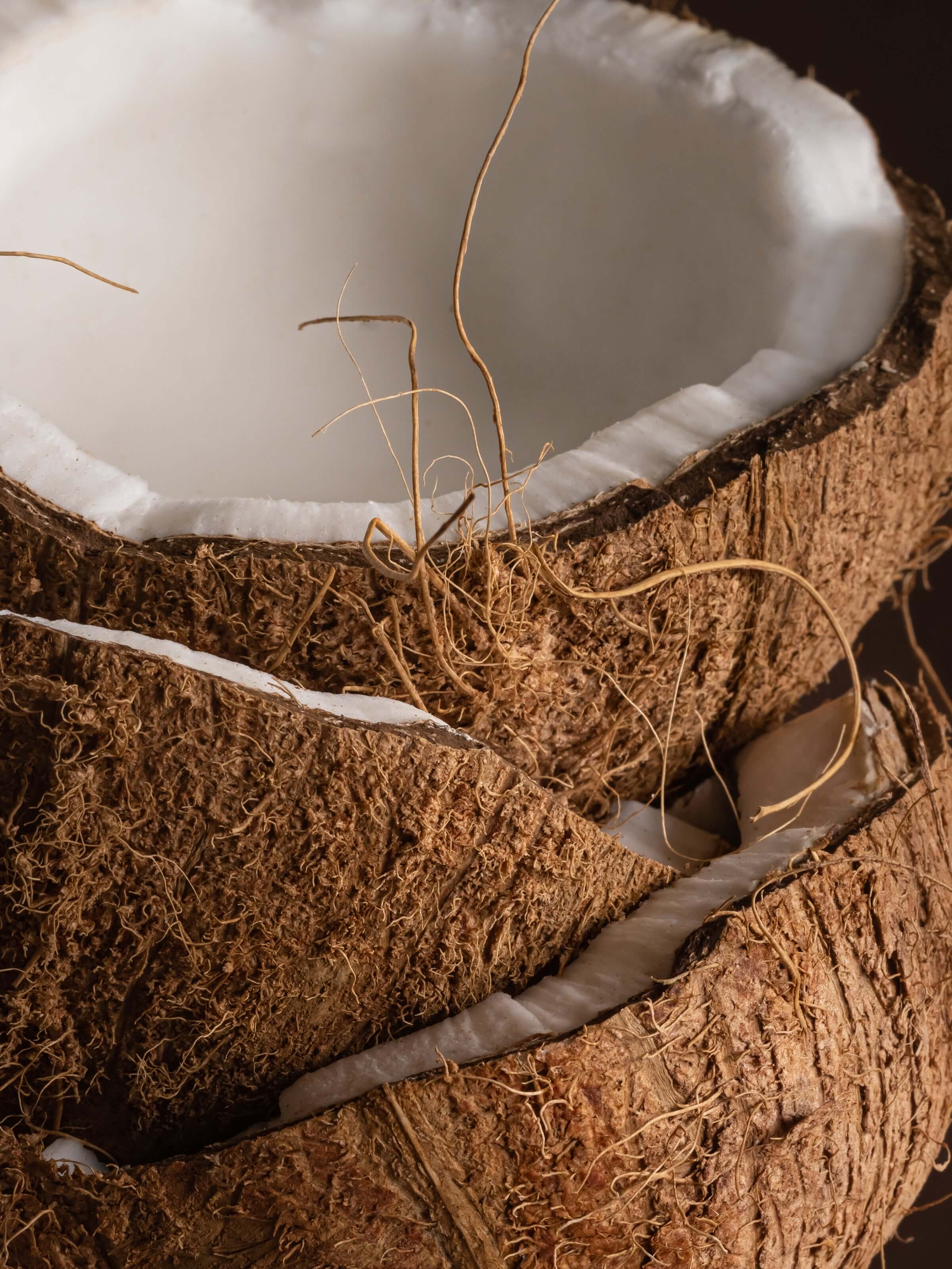 Coconut Sugar - Image 2