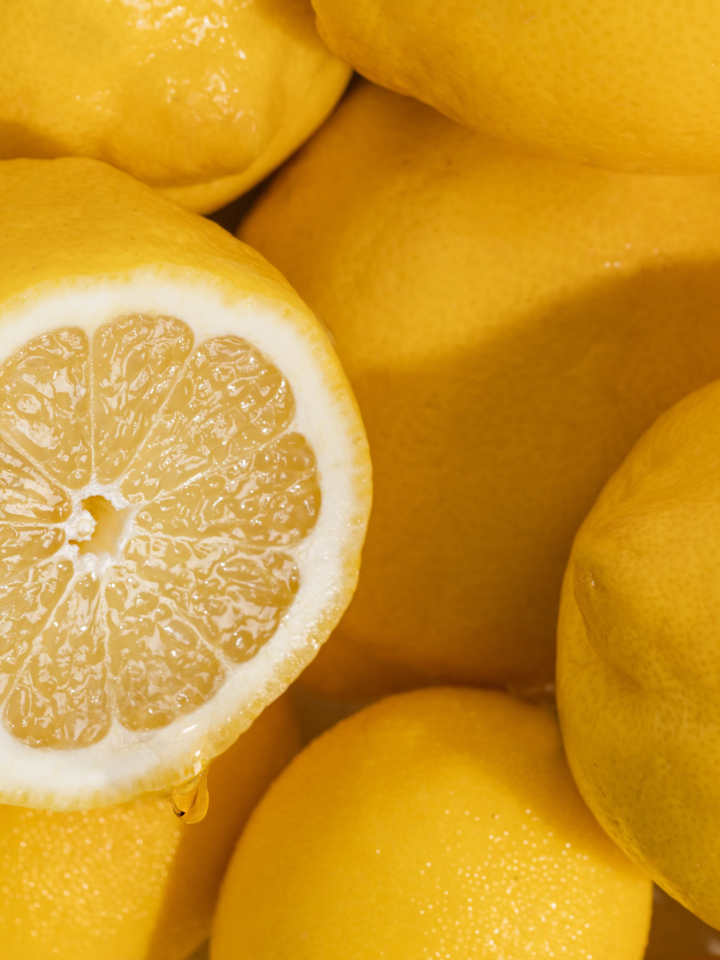 Lemon Sage - Image 2