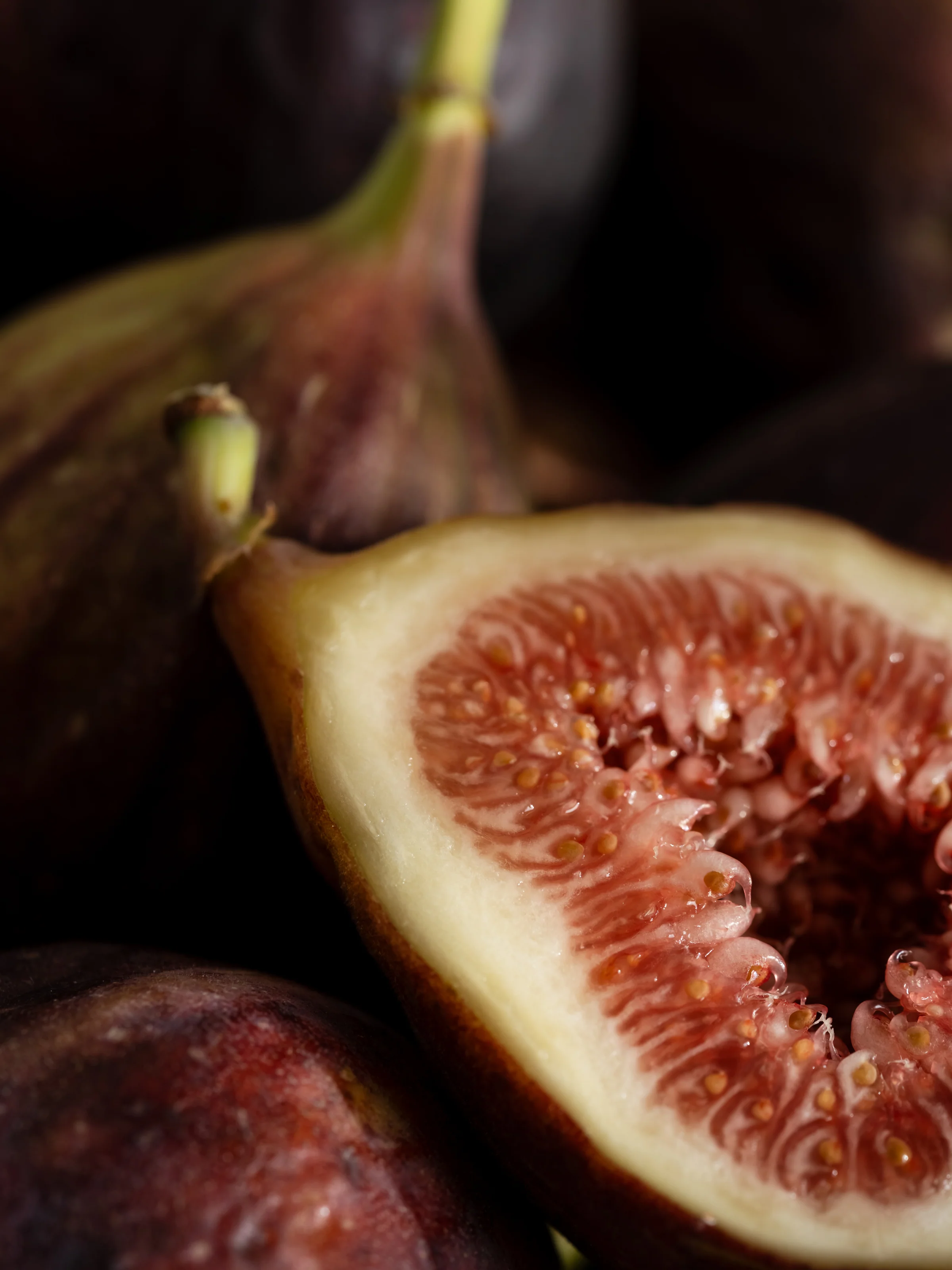 Riviera Fig - Image 2